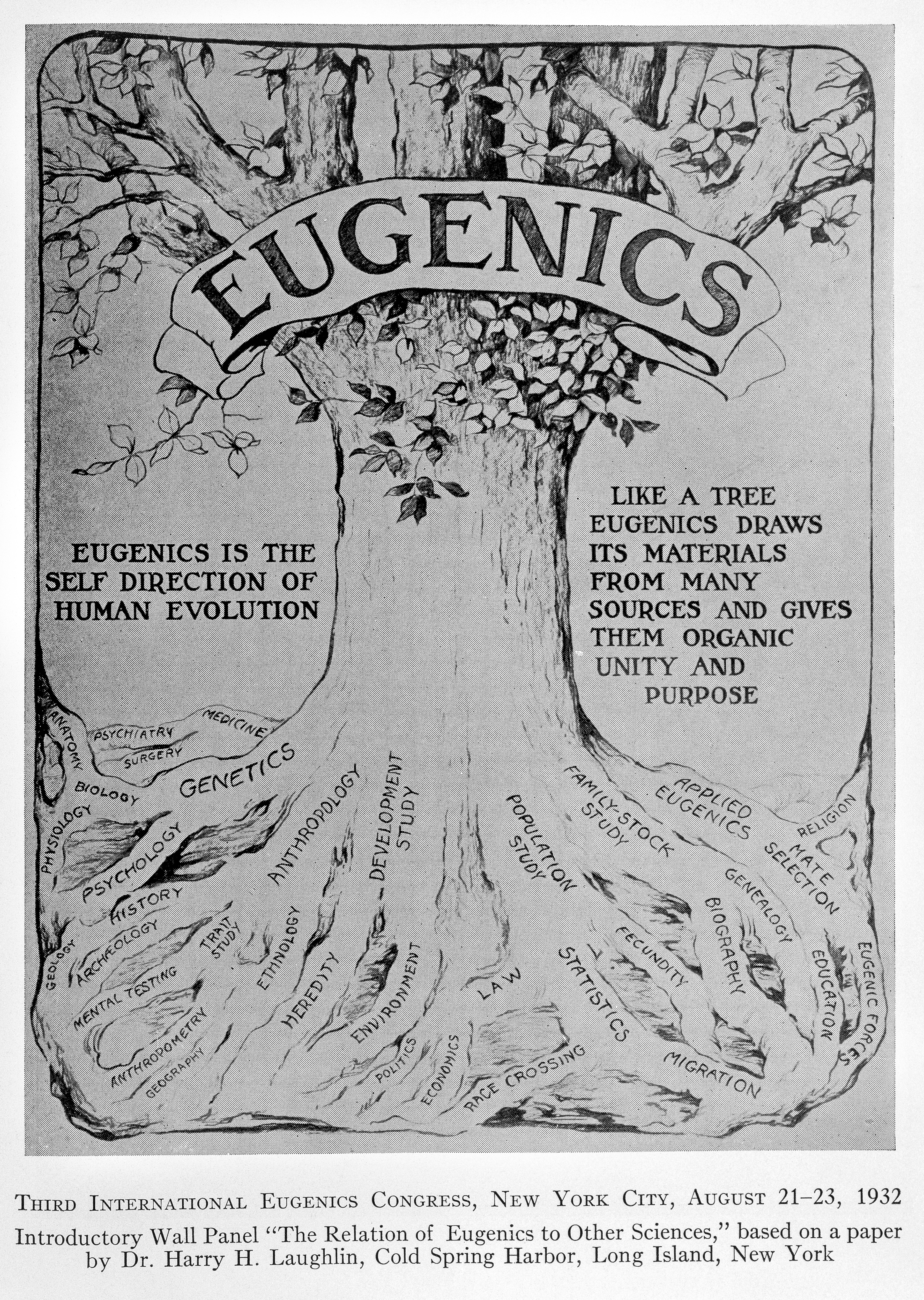 A decade of progress in eugenics. scientifi wellcome l0032341