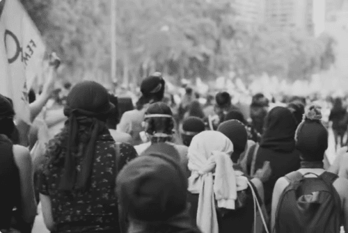 Tpw website submedia short video 8425c55ae7